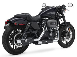 Harley-Davidson Roadster 2019 back2