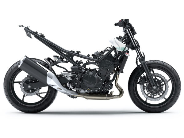 Kawasaki Z400 2019 frame