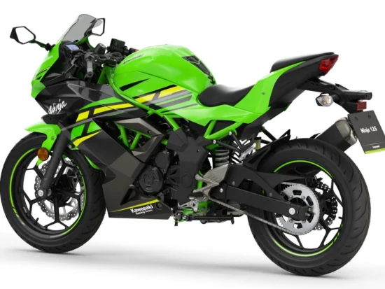Kawasaki Ninja 125 (2019+) Specs and ergonomics