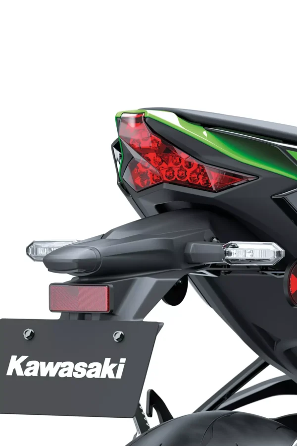 Kawasaki ZX-10R 2023 taillight