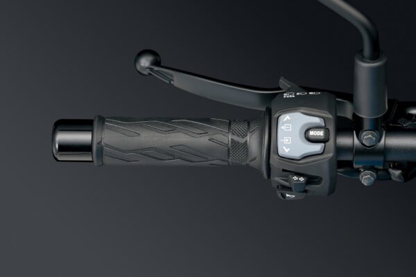 Suzuki Katana 2023 left switchgear