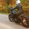 Harley-Davidson Sportster Iron 1200 2021 back2