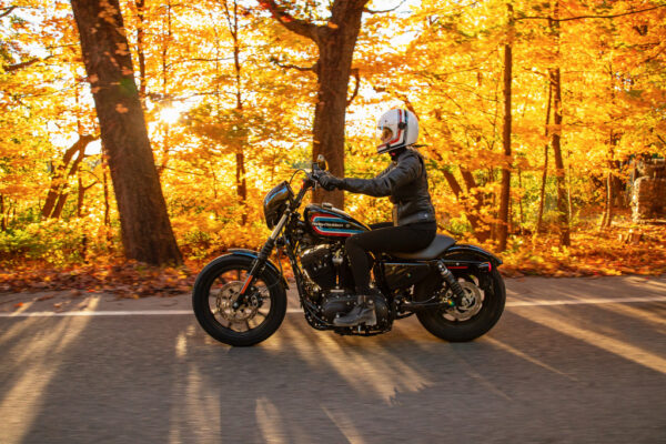 Harley-Davidson Iron 1200 (2018-2021) - Image 2