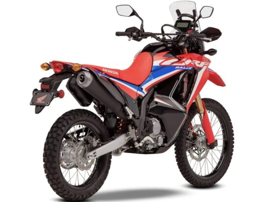 Honda CRF300 Rally 2023 back