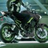 Kawasaki Z900 2023 back