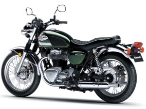 Kawasaki W800 2020 back