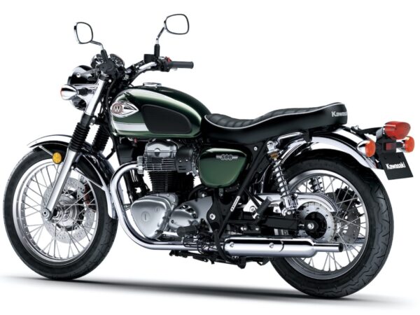 Kawasaki W800 2020 back
