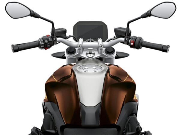 BMW R 1250 R 2019 brown cockipt