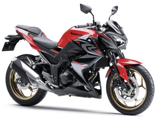 Kawasaki Z300 2018 front
