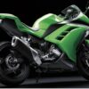 Kawasaki Ninja 300 2012 back