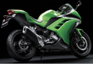 Kawasaki Ninja 300 2012 back