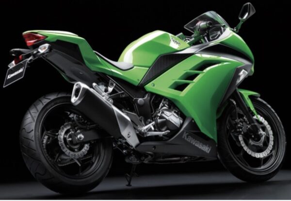 Kawasaki Ninja 300 2012 back