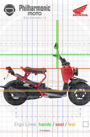 Honda Ruckus 2009 red