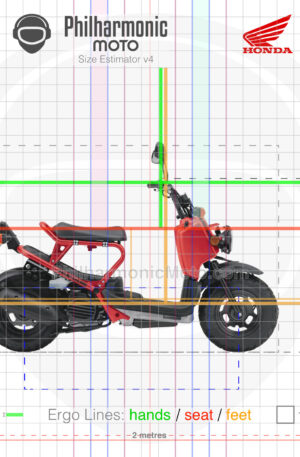 Honda Ruckus 2009 red