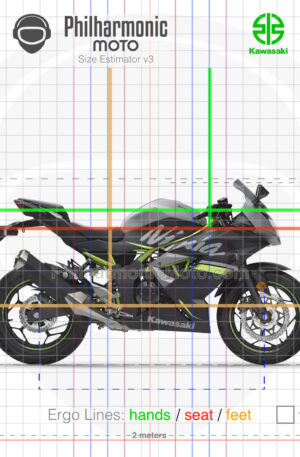 Kawasaki Ninja 125 2019 Metallic Flat Spark Black Metallic Matte Fusion Silver