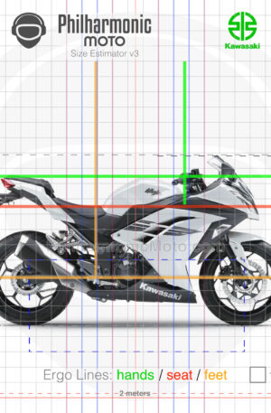 Kawasaki Ninja 300 2017 white