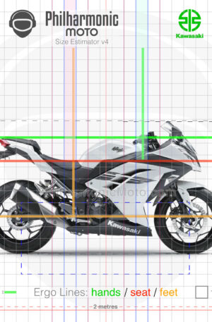 Kawasaki Ninja 300 2017 white