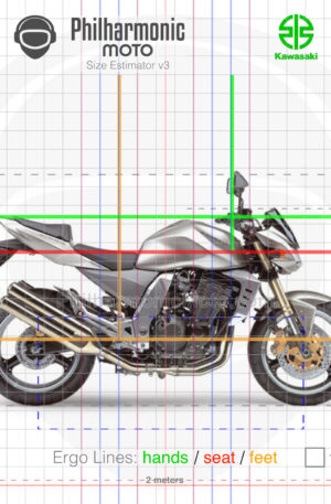 Kawasaki Z1000 2005 Metallic Raw Titanium