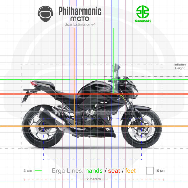 Kawasaki Z300 SE 2019 black