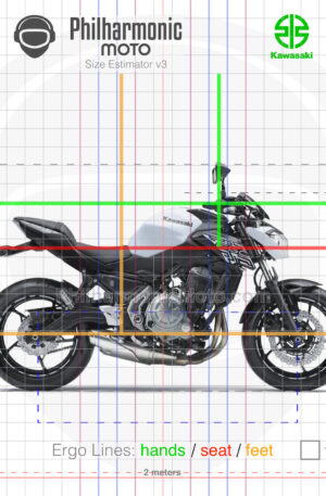 Kawasaki Z650 2019 Pearl Flat Stardust White Metallic Flat Spark Black