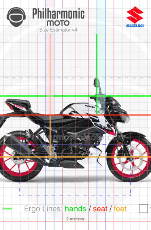 Suzuki GSX-S125 2020 Matt Fibroin Gray Rouge Red