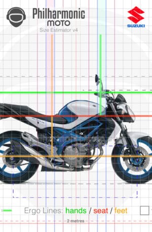 Suzuki SFV650 Gladius 2012 white blue sev3