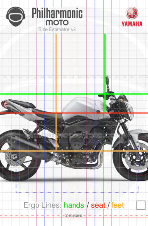 Yamaha FZ1-N Fazer 2010 white
