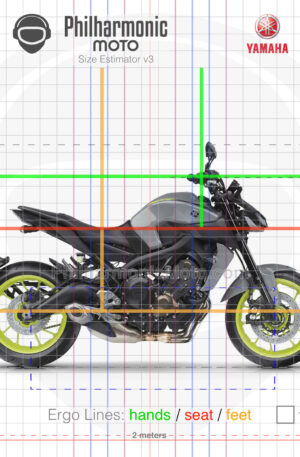 Yamaha MT-09 FZ-09 2017 yellow grey