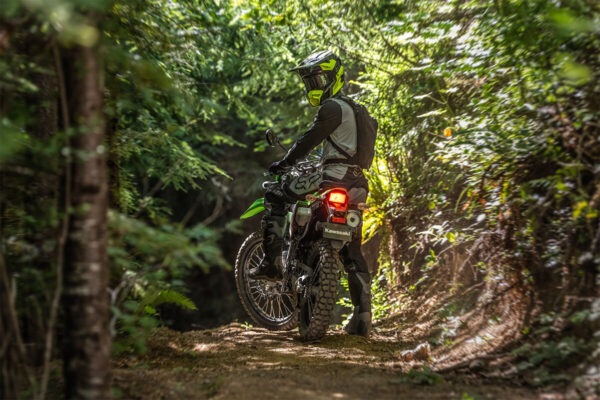 Kawasaki KLX300 2024 taillight