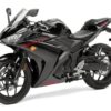 Yamaha YZF-R3 2015 Raven front