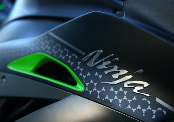 Kawasaki Ninja ZX-10R SE 2018 paint detail