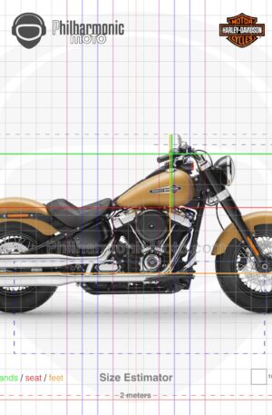 Harley-Davidson Softail Slim 2019 yellow