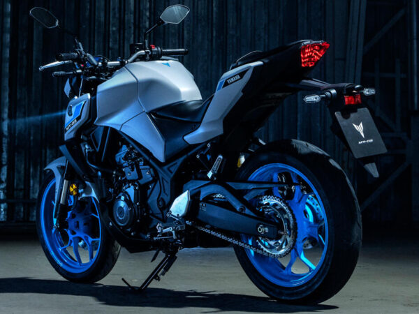 Yamaha MT-03 2025 Ice Storm taillight