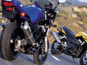 Yamaha FZS600 Fazer 2002 blue back