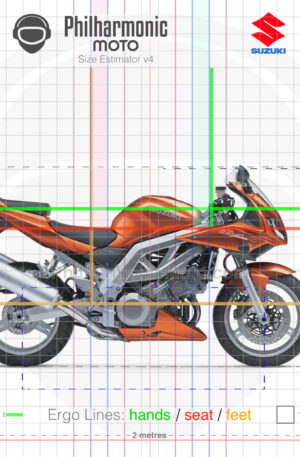 Suzuki SV1000s 2003 orange sev4