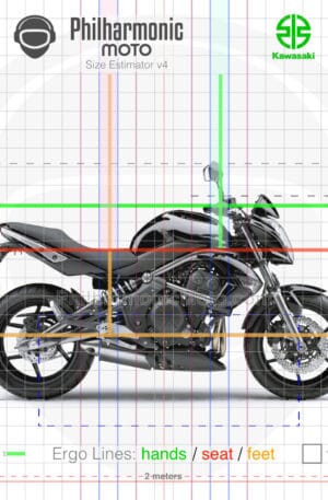 Kawasaki ER-6N 2009 Metallic Diablo Black sev4